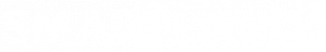 logo footer